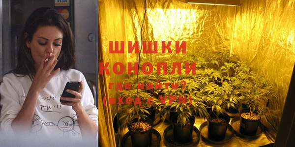 мдпв Новозыбков