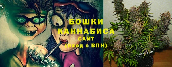 мдпв Новозыбков