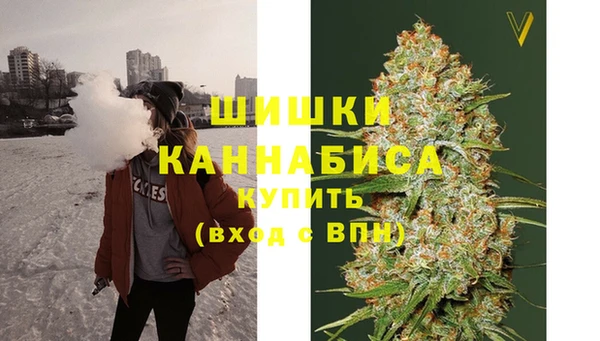 мдпв Новозыбков