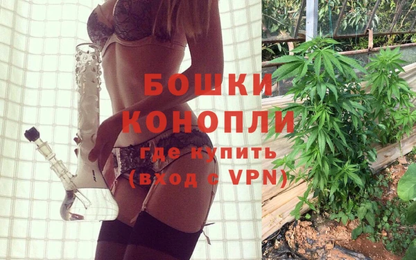 мдпв Новозыбков