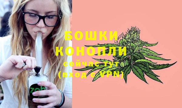 мдпв Новозыбков