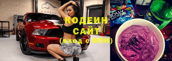 мдпв Новозыбков