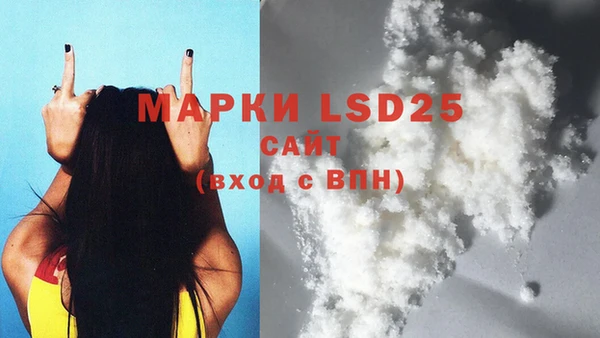 мдпв Новозыбков