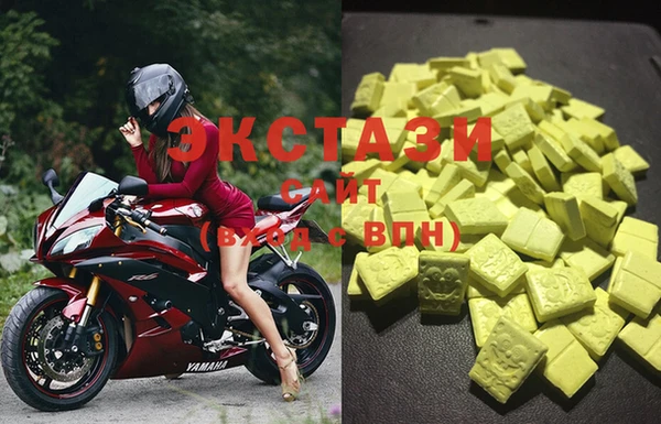 мдпв Новозыбков