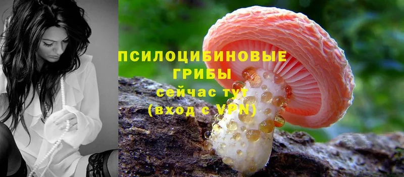 hydra ссылки  даркнет сайт  Стерлитамак  Галлюциногенные грибы Cubensis 