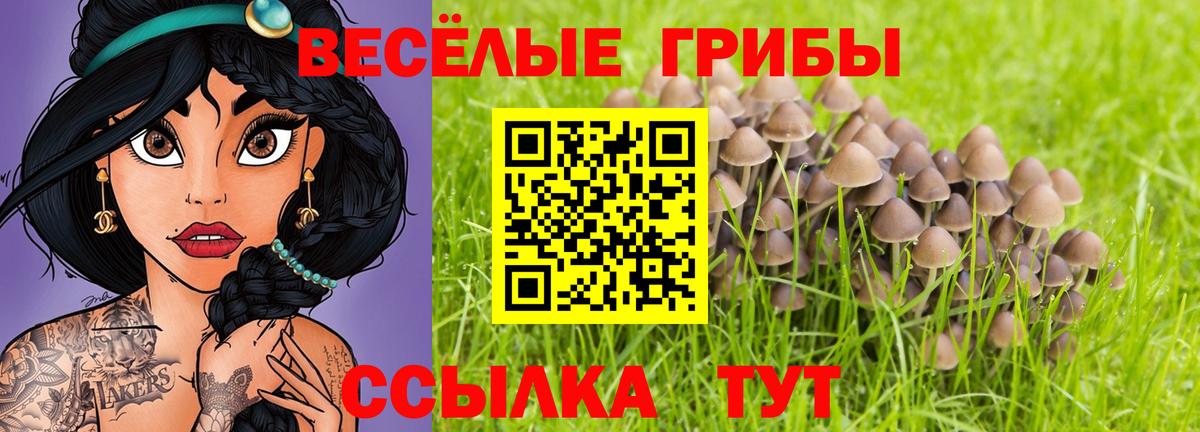 Галлюциногенные грибы мицелий Стерлитамак